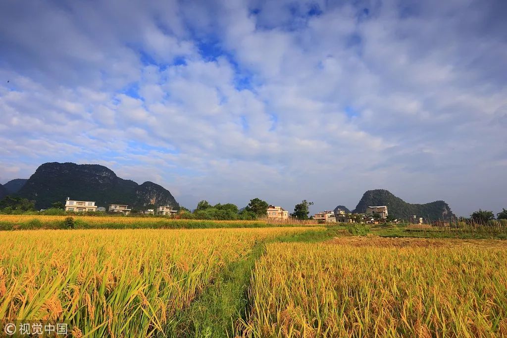 井岡山旅游上市最新動態(tài)，發(fā)展機遇與挑戰(zhàn)并存